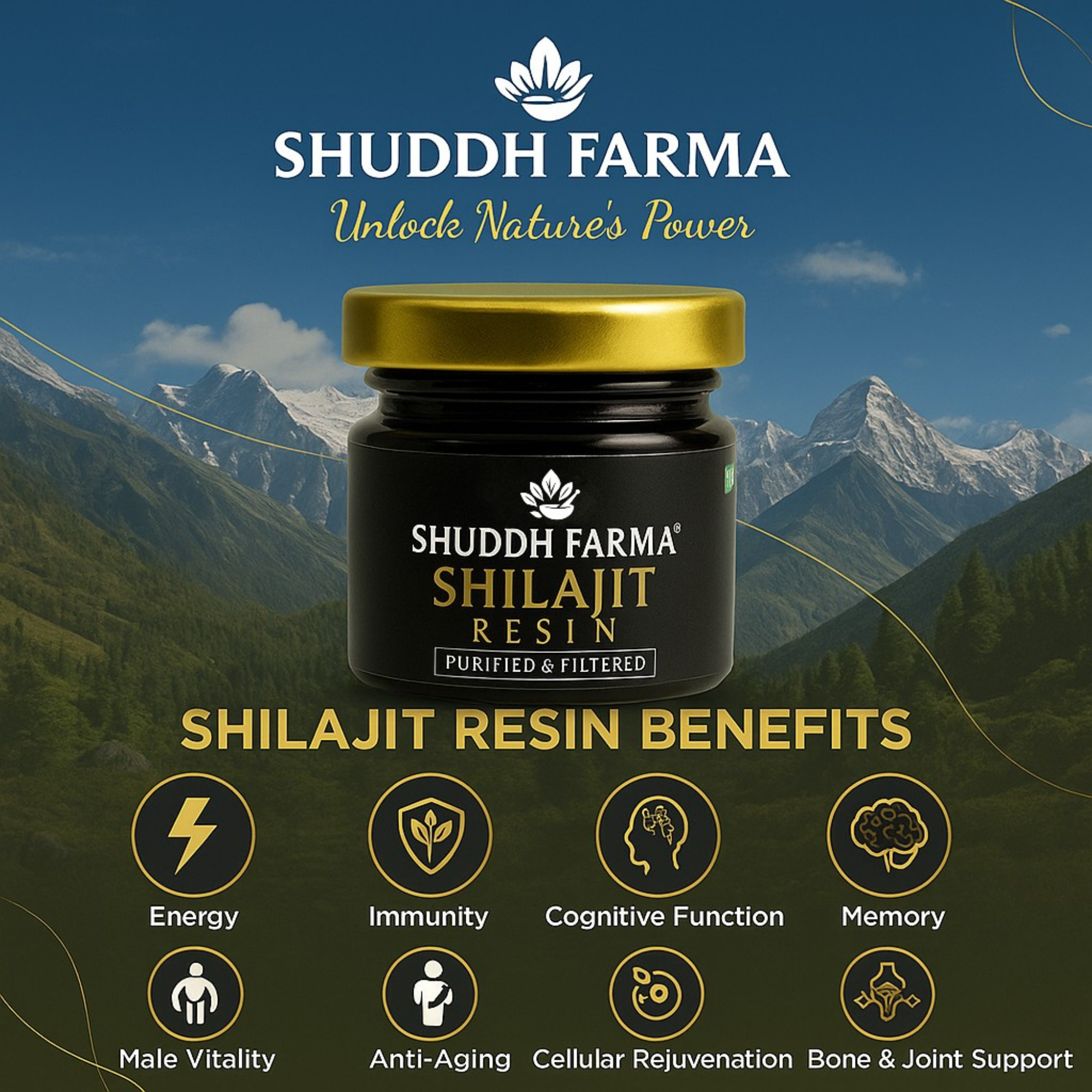 Shuddh Farma Pure Himalayan Shilajit Resin | 70–75% Fulvic Acid | 85+ Trace Minerals | Lab-Tested | Energy, Stamina & Strength | Purified & Filtered |